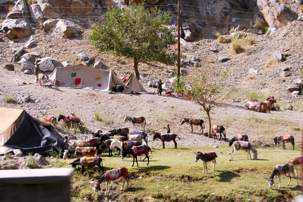 Why is this Kuchi family camped out at the base of the Spin Ghar mountains with all those donkey's? Let me guess "engaging in appropriate international trade between Pakistan and Afghanistan?" You think? Of course not and the shame here is all you need to do is go talk to these people slip them a modest amount of money and some antibiotics and they' ll be on their way without any dramas. If you are really smart you would slip some transponders on the damn donkey's but that is spy shit best left to the CIA if and when they ever get off their FOB's. 