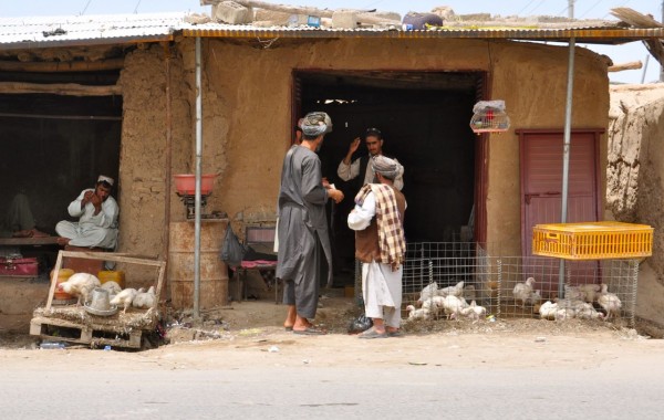 Shopping for fresh chicken in a post industrialized reduced carbon foot print society can be fun, rewarding and a great way to stay in touch with your neighbors