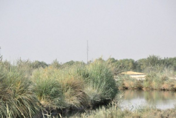 See the GBOSS tower off in the distance? This picture was taken from a PB which also has a GBOSS - they now have enough ISR that the Marines can watch the entire main road which runs through the Southern Helmand